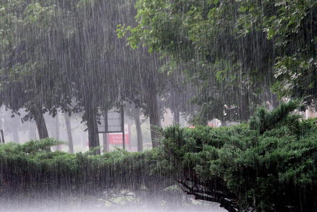 मानसून अपडेट : गुजरात में रेड अलर्ट तथा देश के इन हिस्सों में भारी बारिश के आसार मानसून अपडेट : गुजरात में रेड अलर्ट तथा देश के इन हिस्सों में भारी बारिश के आसार