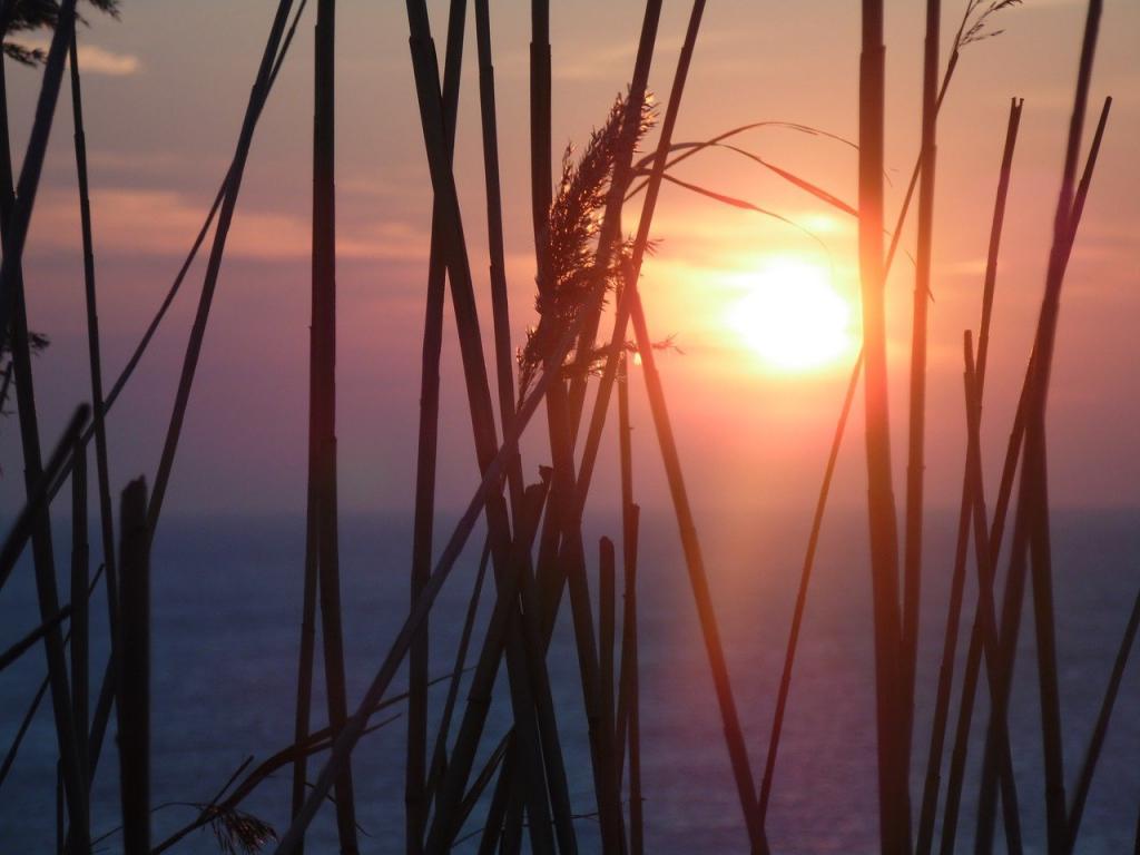 August 2021 Is The Sixth warmest In 142 Years US Climate Agency
