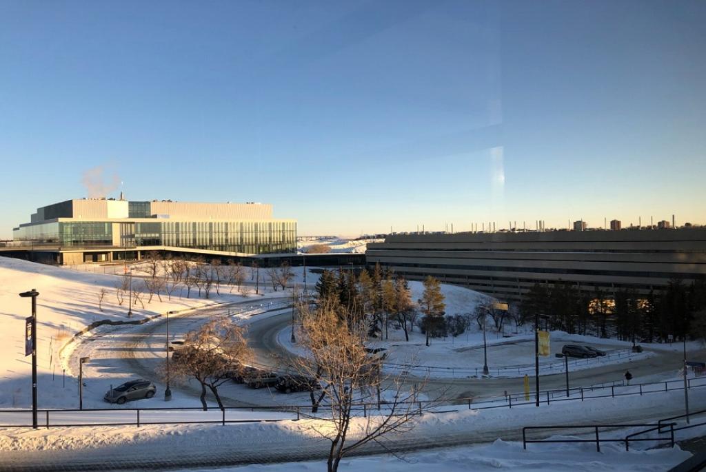 How the COVID-19 pandemic affected North America