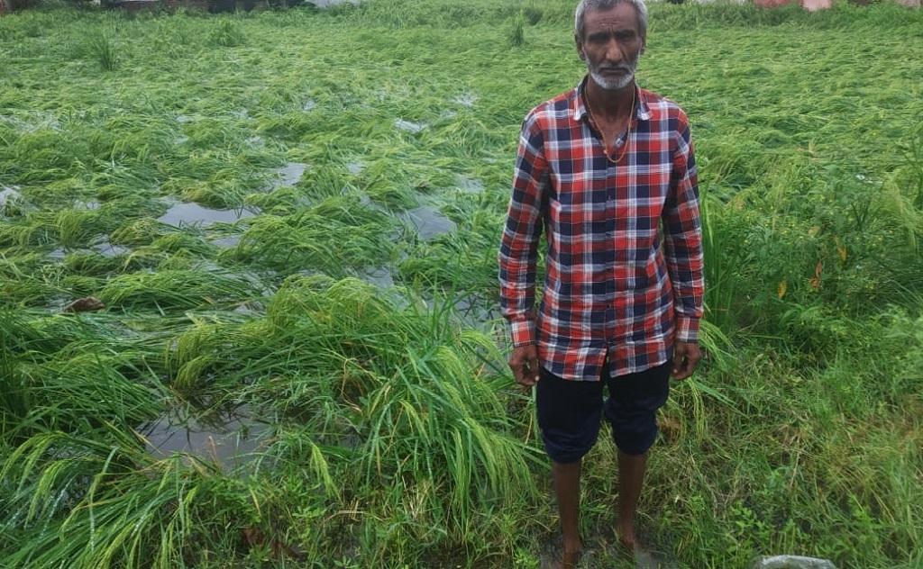 मध्य प्रदेश में हुई भारी बारिश की वजह से खड़ी फसल को भारी नुकसान पहुंचा है। फोटो: राकेश कुमार मालवीय मध्य प्रदेश में हुई भारी बारिश की वजह से खड़ी फसल को भारी नुकसान पहुंचा है। फोटो: राकेश कुमार मालवीय