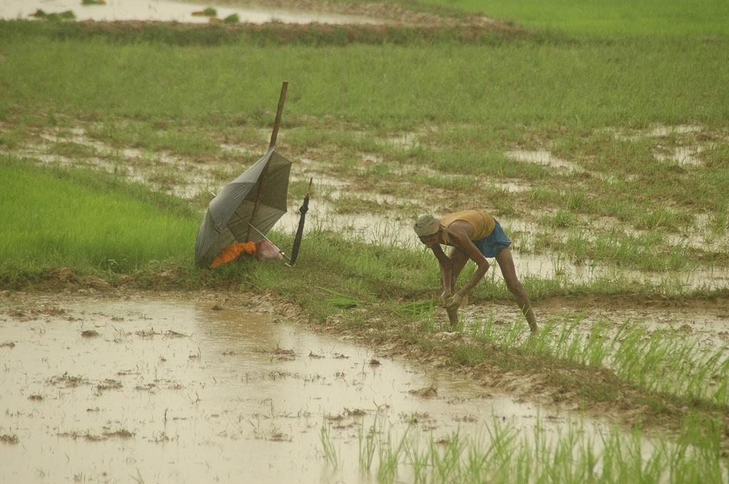 Photo: Agnimirh Basu Photo: Agnimirh Basu