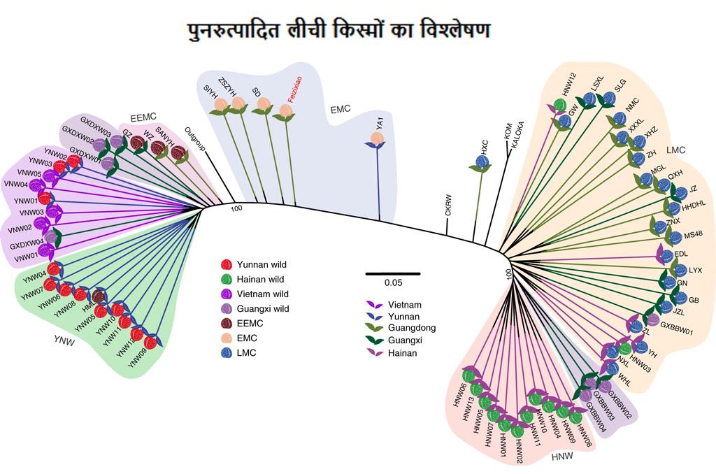  फोटो : नेचर जेनेटिक्स 