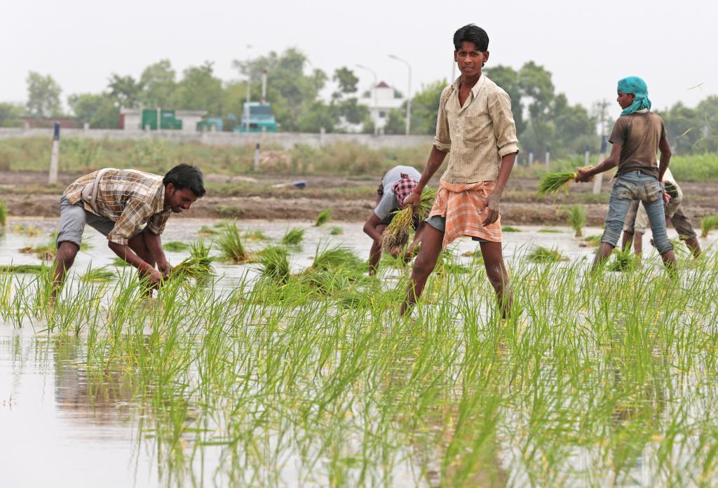 फोटो: विकास चौधरी फोटो: विकास चौधरी