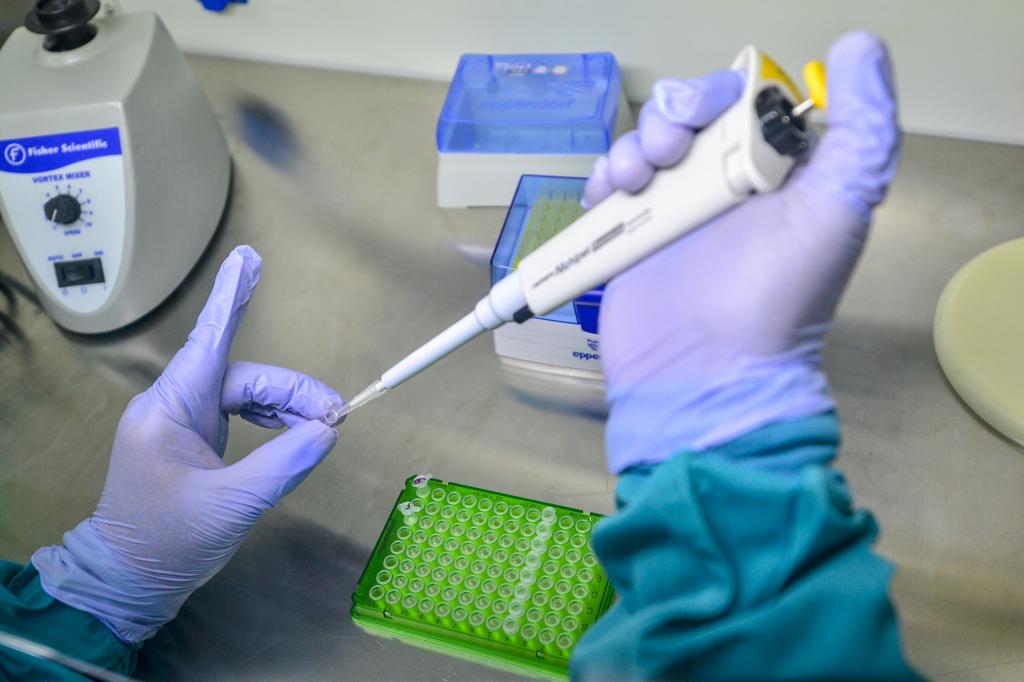 The coronavirus in Nigeria has its own family history: keeping track is vital - Vimarsana News
