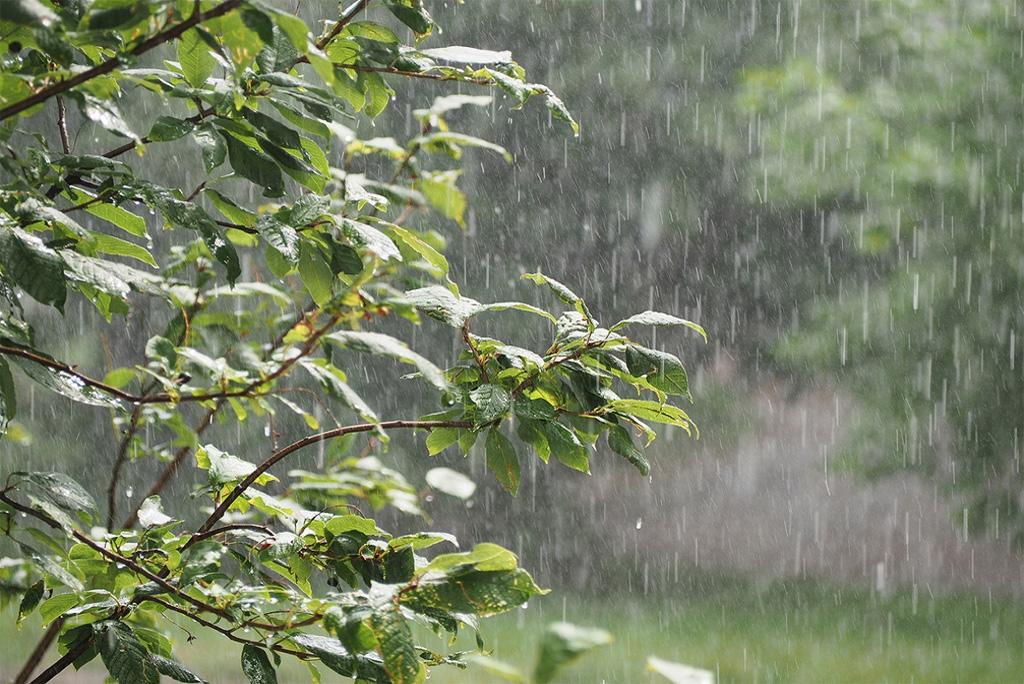 पश्चिमी विक्षोभ के कारण इन हिस्सों में गर्मी से मिल सकती है राहत, इन इलाकों में भारी बारिश का दौर जारी पश्चिमी विक्षोभ के कारण इन हिस्सों में गर्मी से मिल सकती है राहत, इन इलाकों में भारी बारिश का दौर जारी