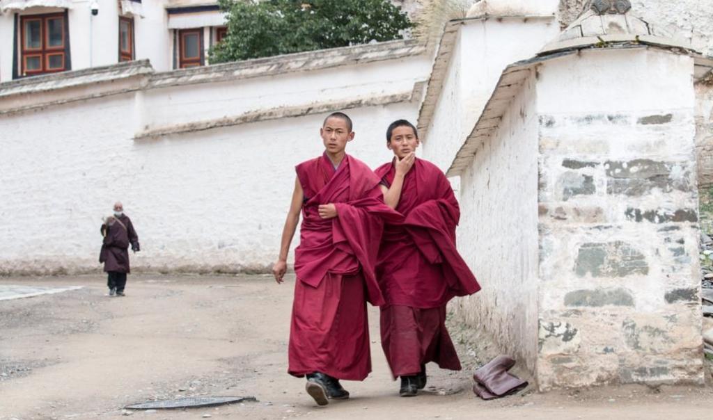 Celibacy: its surprising evolutionary advantages – new research - Vimarsana News