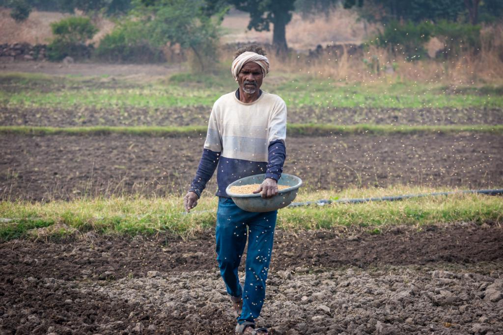 high-fertiliser-prices-shock-farmers-even-as-ministry-denies-shortage