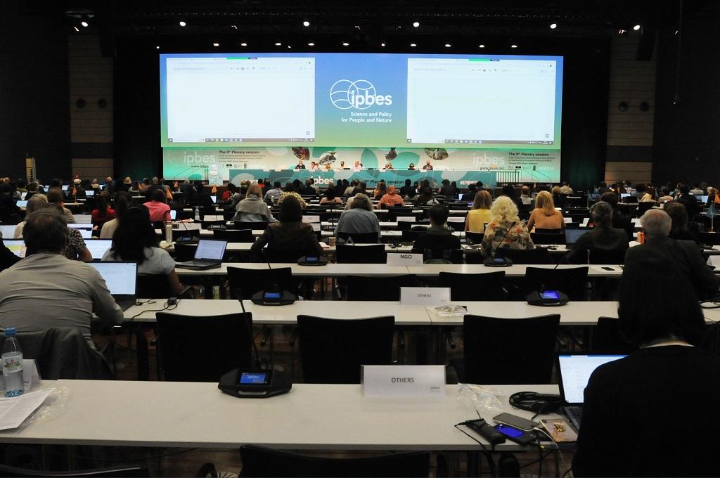 Bonn biodoversity summit: Time to reimagine conservation to ensure sustainable use of wild species, say environmentalists - Vimarsana News