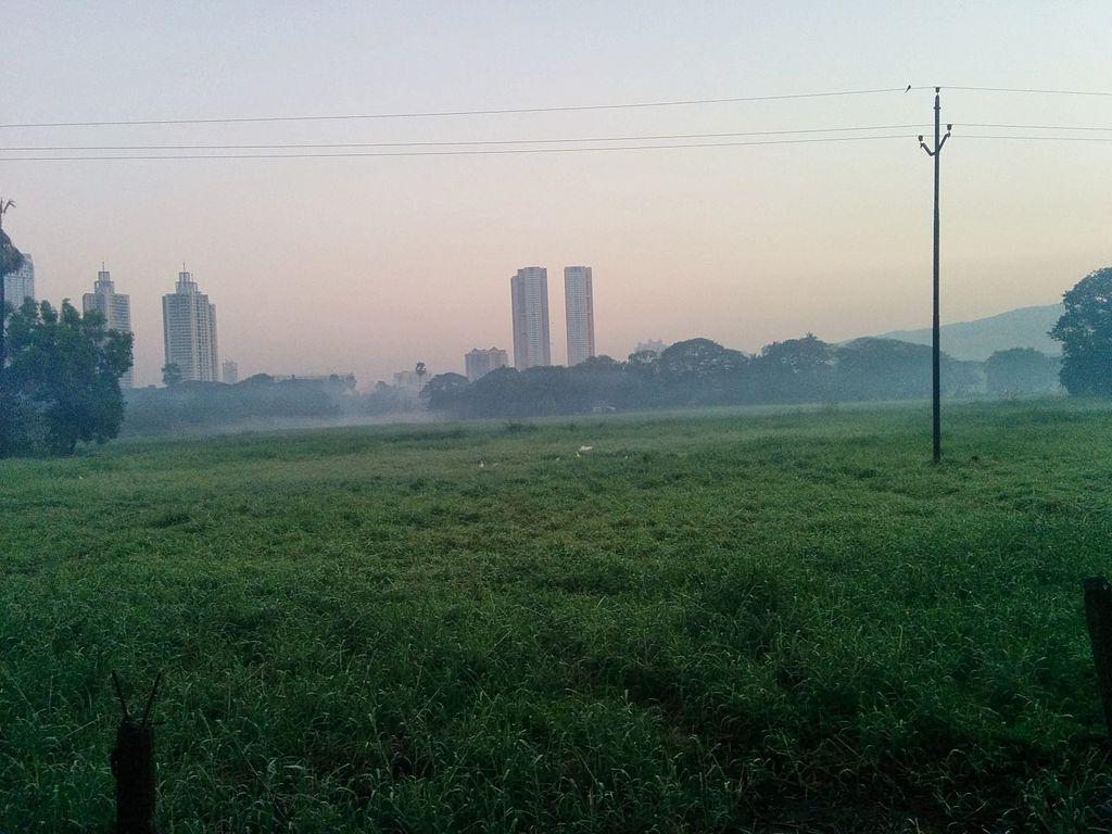Revisiting 2019 Aarey forest study: Why Metro project is a threat to biodiversity park - Vimarsana News