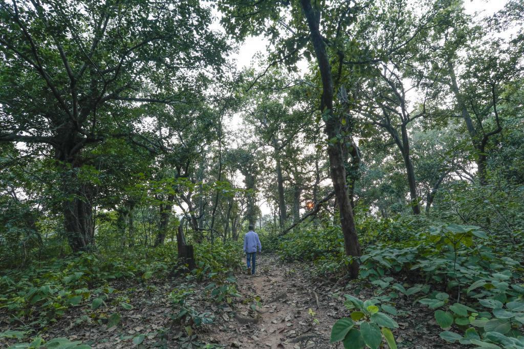 Why we need to factor ecosystem services into economic development planning - Vimarsana News
