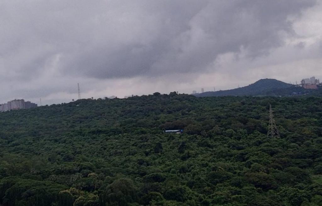 Aarey: Metro car shed project supporters, opponents lock horns online; accuse and justify - Vimarsana News