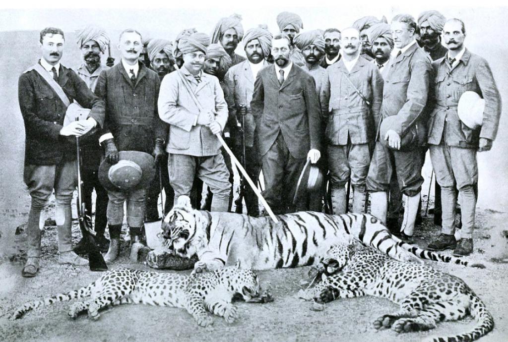 Cheetah: Did India’s erstwhile nobility cause its wildlife’s downfall