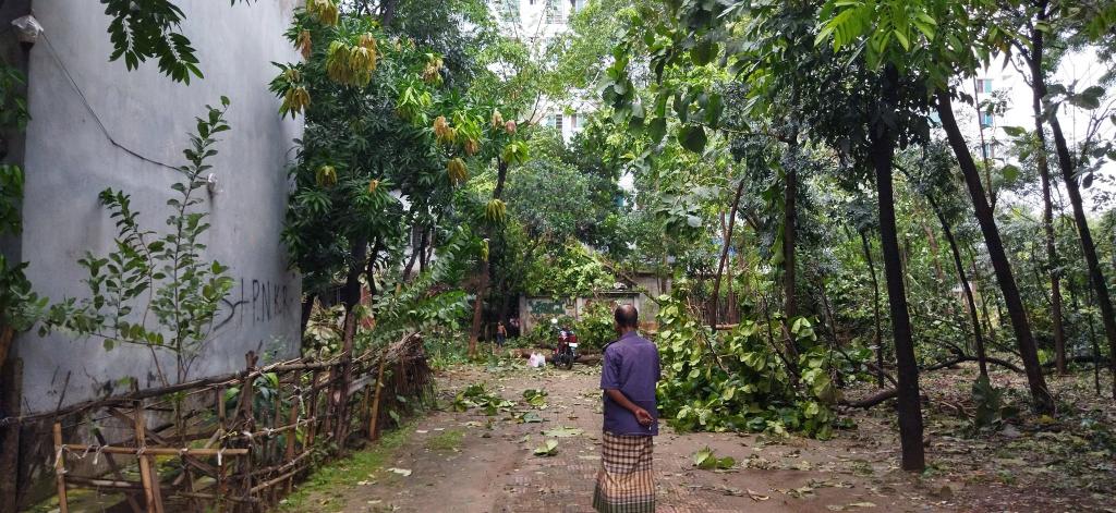Cyclone Sitrang: 'Unusual' quickening of pace, say weatherpeople - Vimarsana News