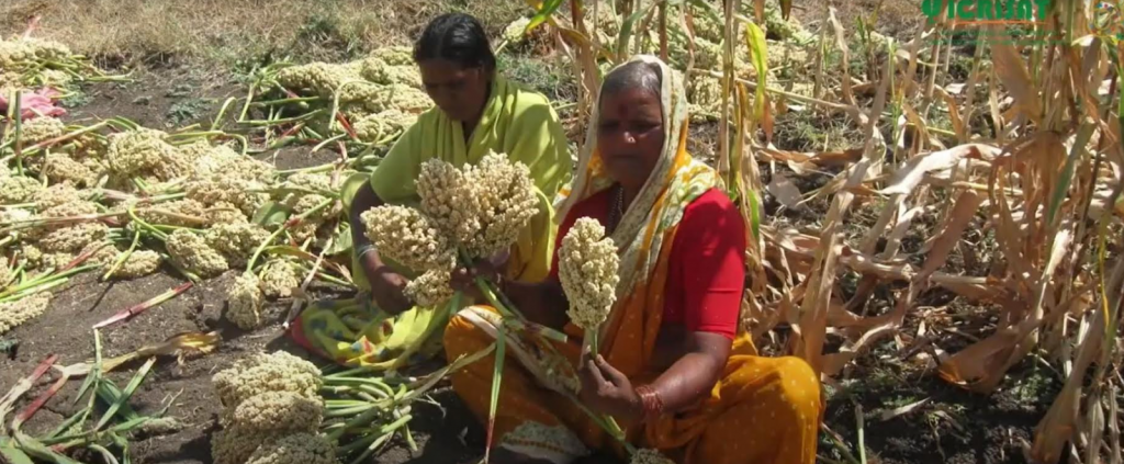 Soil carbon sequestration may help fight climate change - Vimarsana News