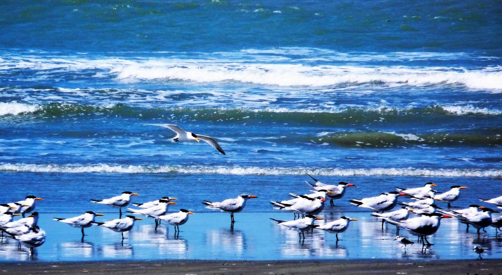 Climate change: West Africa's oceans at risk because of a lack of monitoring - Vimarsana News