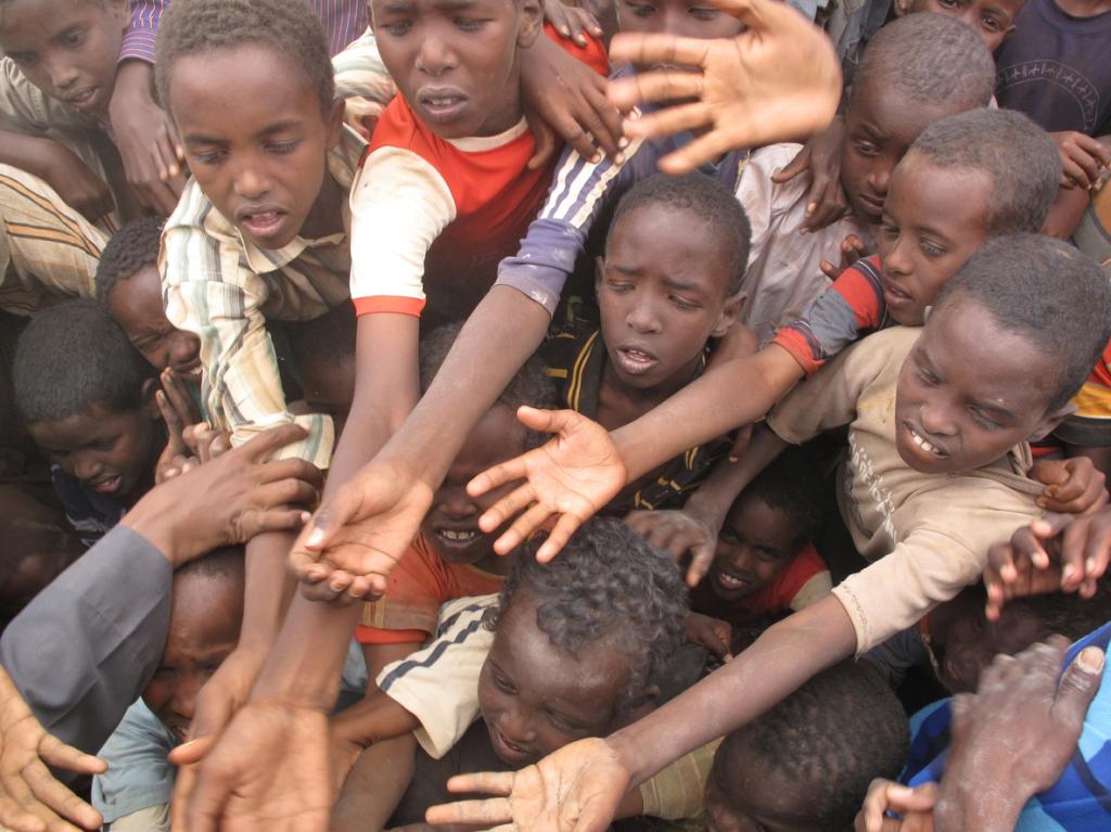 Less than half of hunger funding needs met, says report - Vimarsana News