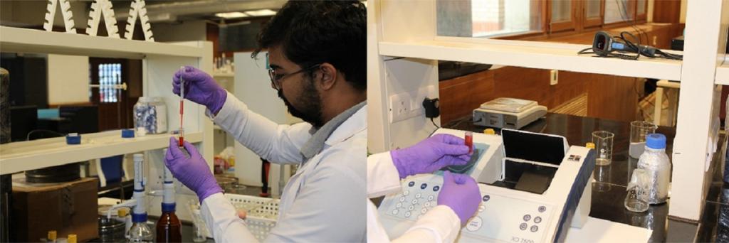 Rice husk biochar removes fluoride from groundwater, prevents drinking water contamination, new study shows - Vimarsana News