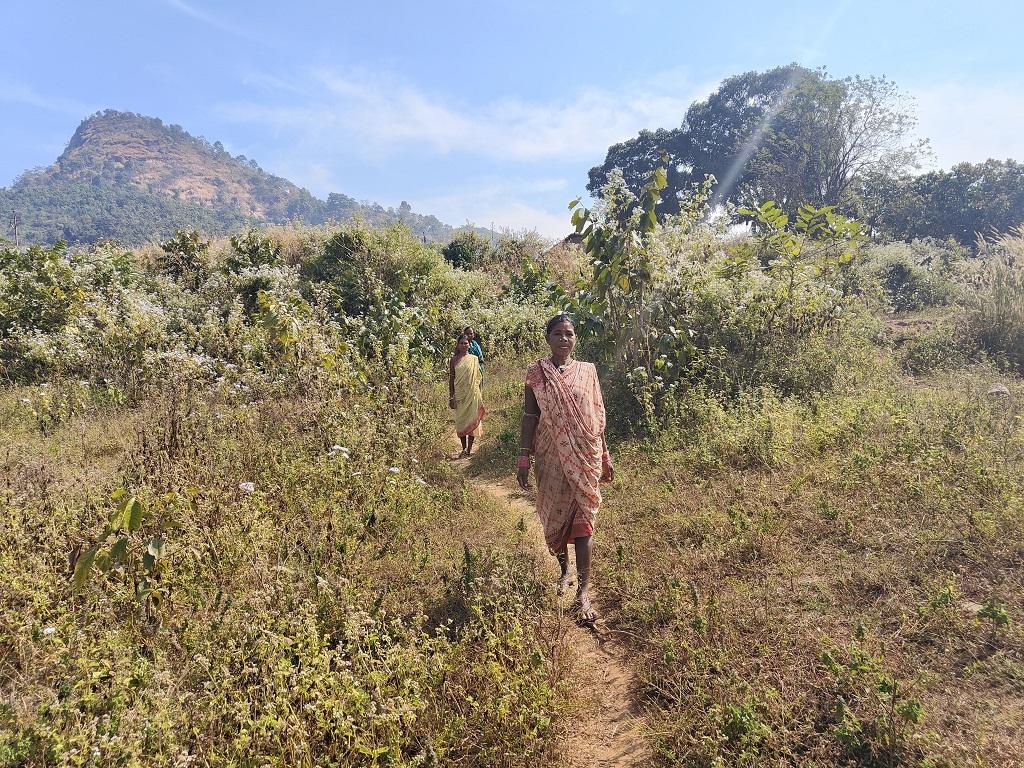Miles to go: In these tribal regions of Odisha, the nearest health clinic is jungles & rivers away - Vimarsana News