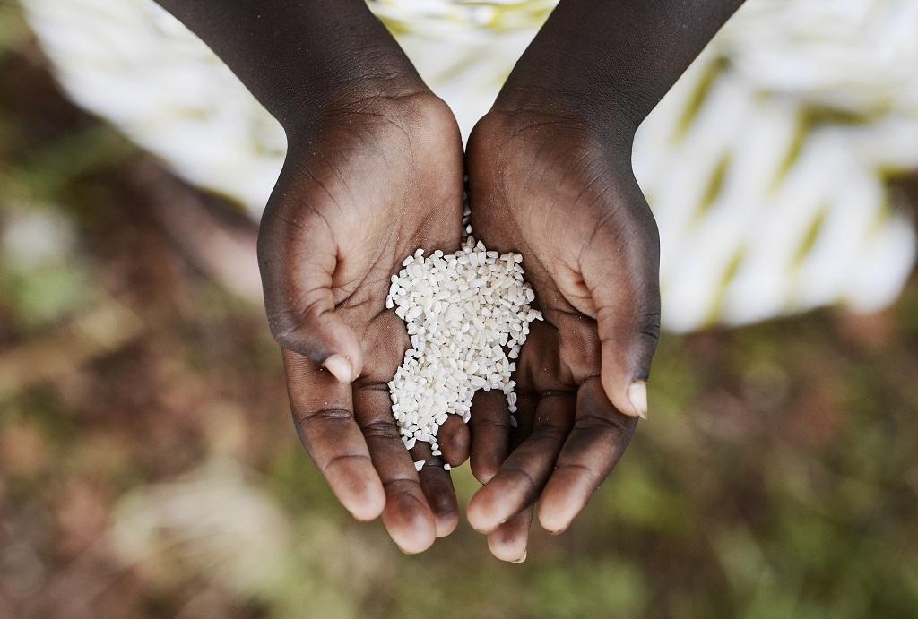Quarter of a billion people on brink of starvation, half of them in Somalia - Vimarsana News