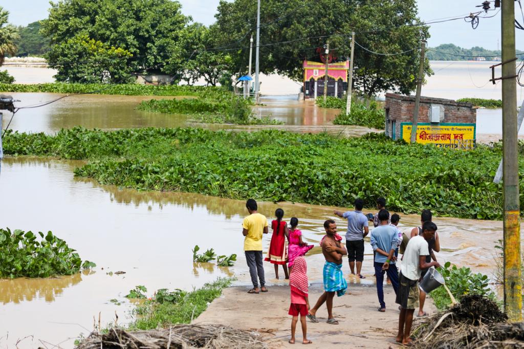 Rarely inundated floodplains in Asia, Africa face higher risk now, says study. Here's why - Vimarsana News