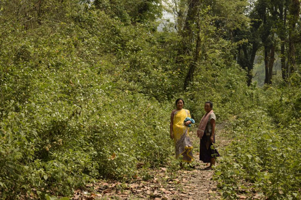 A low-carbon economy will only succeed if it is equitable - Vimarsana News