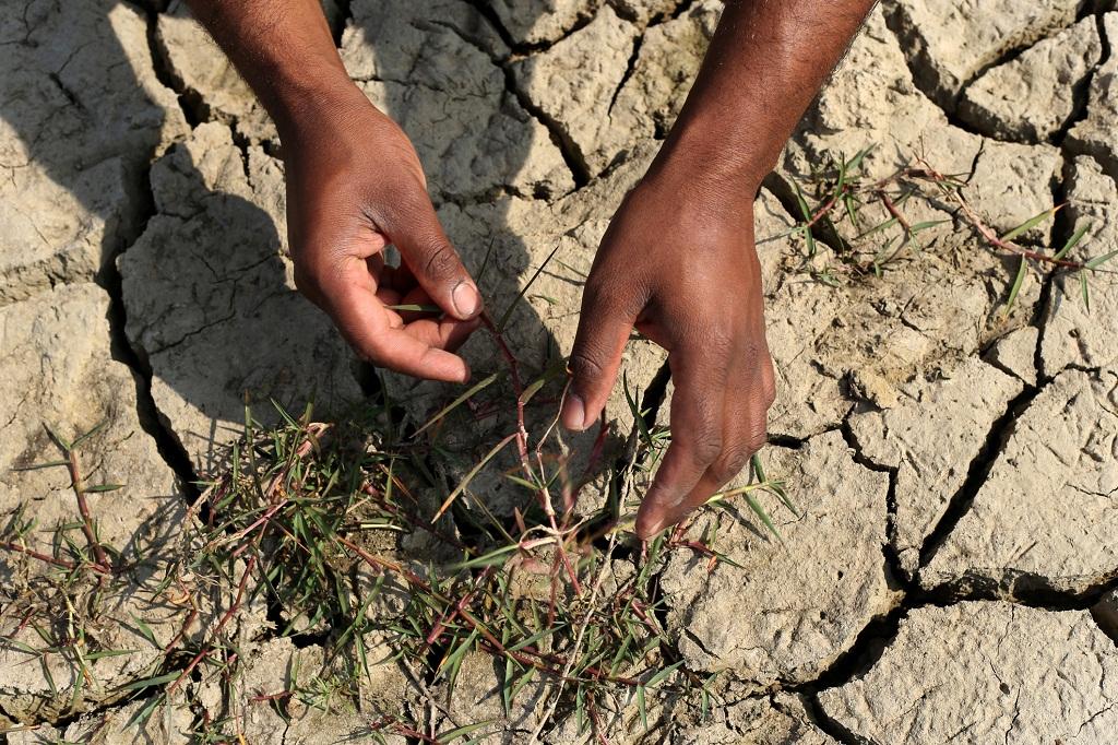 71 per cent Indian districts stare at poor monsoon, shows DTE analysis of IMD data - Vimarsana News