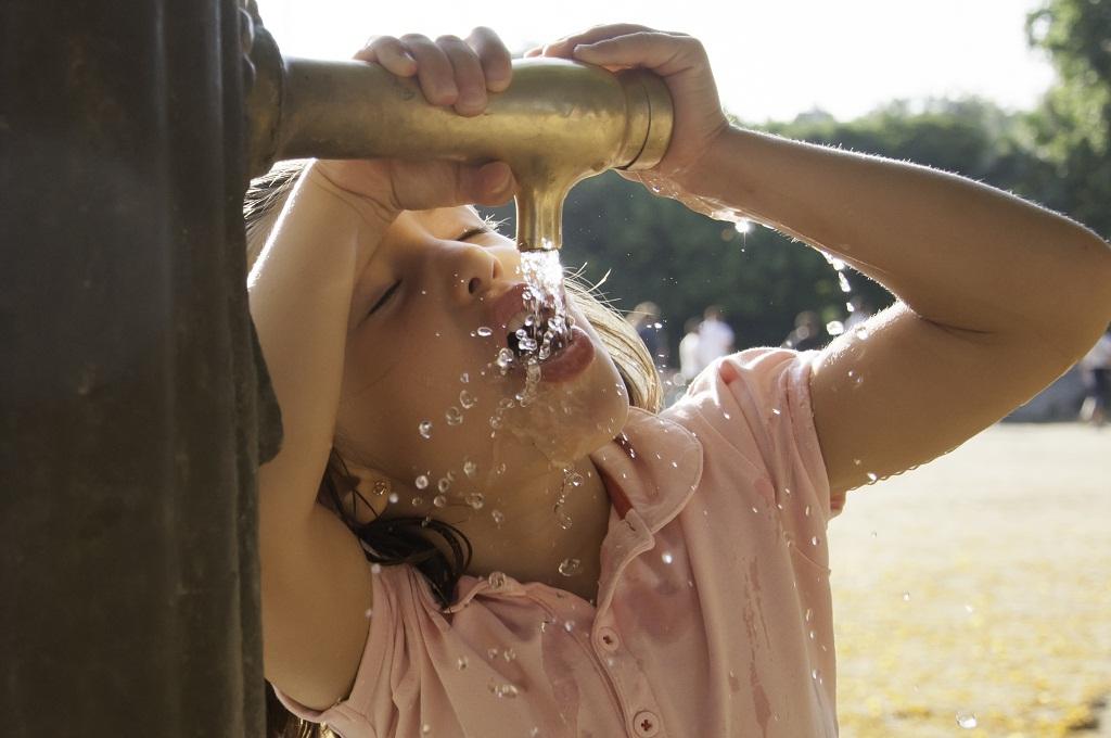 World just had the hottest week; shattered records hint we are in uncharted territory: WMO - Vimarsana News