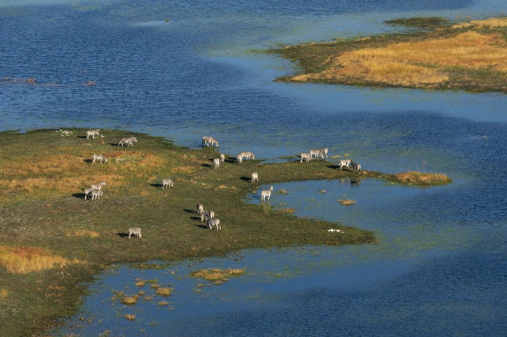 Oil drilling threatens the Okavango River Basin, putting water in Namibia and Botswana at risk - Vimarsana News