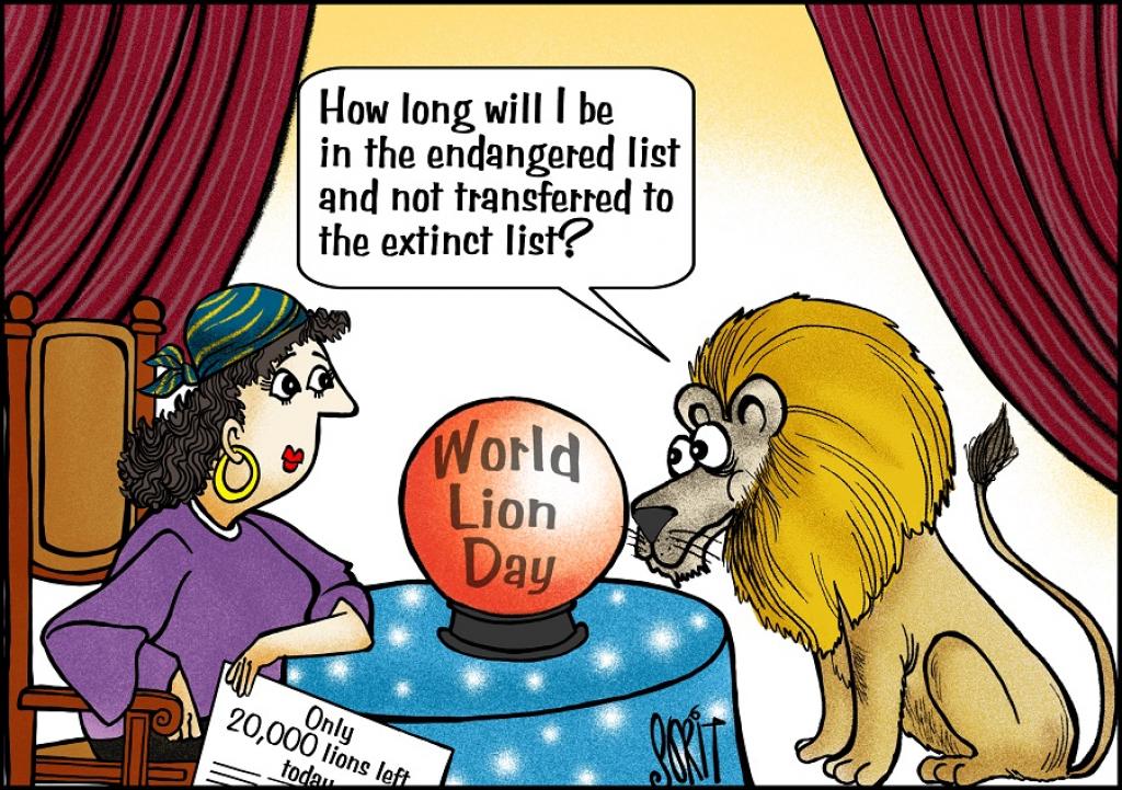 Simply Put: World Lion Day 2023