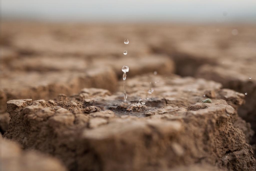 Droughts may have affected larger areas globally than captured by satellites, new analysis suggests - Vimarsana News