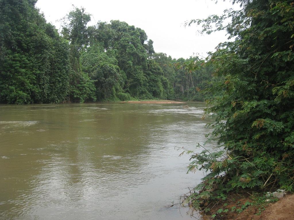 Shocking revelation by environment minister 16 rivers in Karnataka