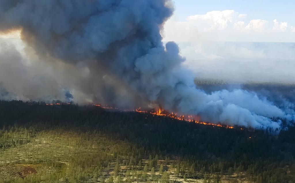 Siberian Wildfires Russia Causes Consequences And Solutions Siberian Wildfires Russia Causes Consequences And Solutions