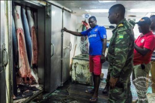 São Toméan authorities inspect fish holds on arrival in Neves
Credit: Alejandra Gimeno / Sea Shepherd Global