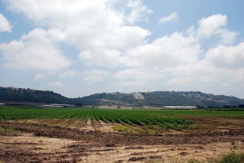 In Africa, boosting agricultural productivity in a sustainable way is critical to eradicating poverty
Credit: StateofIsrael/Flickr