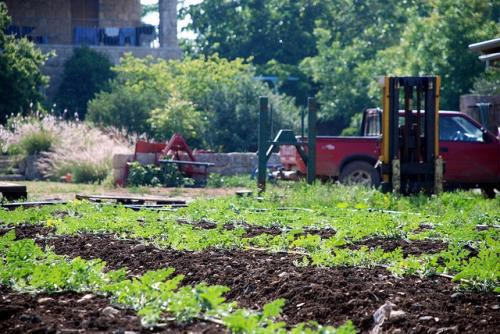 An analysis by the Center for International Forestry Research says that a more holistic approach to agriculture and adaptation submitted in SBSTA 44 is required
Credit: State of Israel/Flickr