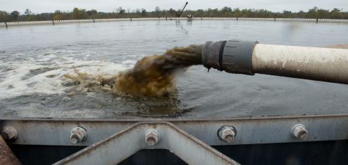 Nitrogen pollution: the forgotten element of climate change Nitrogen pollution: the forgotten element of climate change