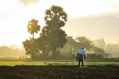 Experts think this is where demonetisation is going to wash away the benefits of a normal monsoon after three years.
Credit: Gokulnath/Flickr