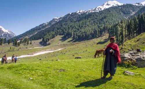 A nomad Gujjar woman tending to her herds in the alpine valley of the Lidder river in Kashmir Credit: Flickr A nomad Gujjar woman tending to her herds in the alpine valley of the Lidder river in Kashmir Credit: Flickr