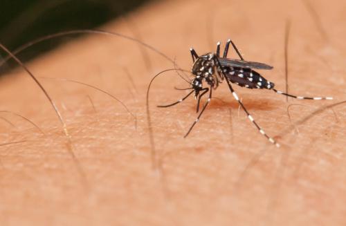 Robust investment and new malaria control tools are urgently needed to propel countries towards eliminating the disease Robust investment and new malaria control tools are urgently needed to propel countries towards eliminating the disease