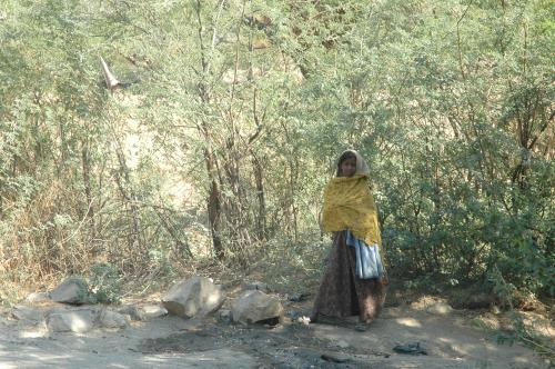 India fails to protect property rights of indigenous and rural women, says report India fails to protect property rights of indigenous and rural women, says report
