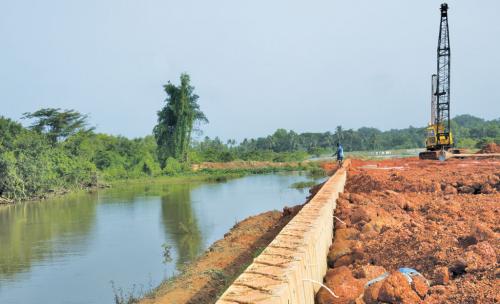 Road construction projects are destroying Goa's traditional wetlands