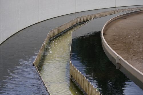 Spread of antibiotic-resistant bacteria linked to effluents from sewage treatment plants Spread of antibiotic-resistant bacteria linked to effluents from sewage treatment plants
