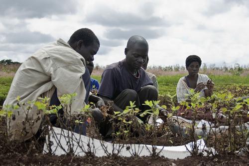 What needs to be done to give Africa's smallholder farmers access to machinery