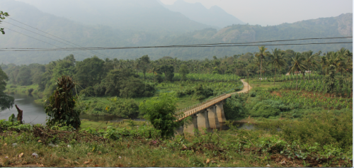 Only 16 per cent of potential community forest rights granted in Kerala Only 16 per cent of potential community forest rights granted in Kerala