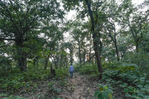 India’s total forest cover increases by 1%: State of Forest Report 2017 India’s total forest cover increases by 1%: State of Forest Report 2017