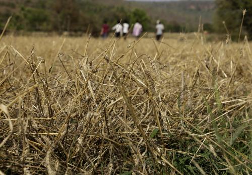 Farmers seek relief after hail, rain damage crops in Rajasthan, UP Farmers seek relief after hail, rain damage crops in Rajasthan, UP