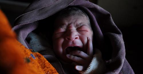 Newborn Newborn