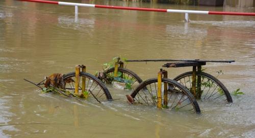 Monsoon 2018: Destructive yes, distributive no