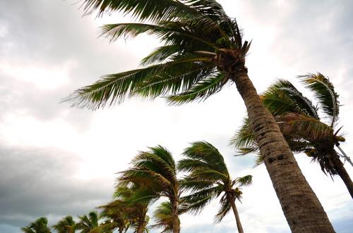 Cyclone Cyclone