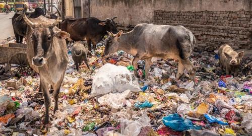 Municipal Solid Waste Municipal Solid Waste